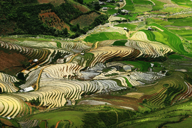 Chiêm[-]ngưỡng[-]vẻ[-]đẹp[-]Mù[-]Cang[-]Chải[-]mùa[-]nước[-]đổ